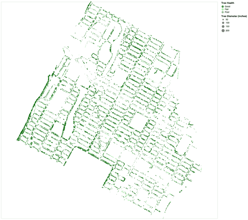 street tree map